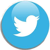 Twitter Icon